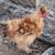 Flock reduction. 11 thumbnail