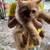 AffectionatePersainKitty (929) 8five57-4478 1 thumbnail