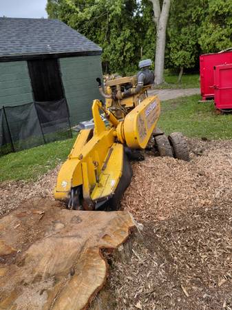 🌳 STUMP GRINDING • FAST • CLEAN • AFFORDABLE • CLEVELAND AREA 🌳 1