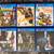 PlayStation 4 Games: Assorted ( Last of Us, Until Dawn, LBP3, Mafia, C 1 thumbnail