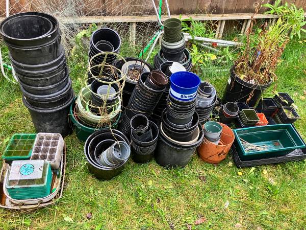 Assorted Gardening Supplies 1