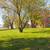 Rent an amazing 877 Sq Foot 2 bed / 1 bath near transit! 1 thumbnail
