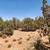 Terreno fsbo land 2.5 acres land for sale Snowflake, Az 8 thumbnail