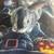 Rabbit 2 thumbnail