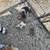 I have a two liters -one is Pomeranian parti and tri and the ot 17 thumbnail