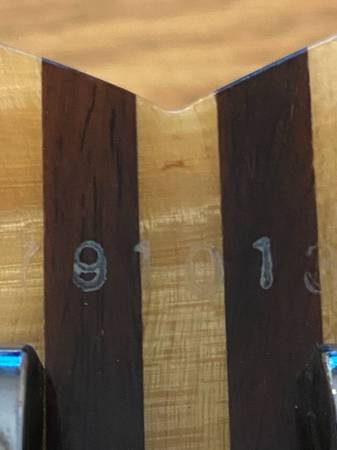 Washburn Falcon 1979 1