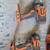 Ridgid 18v Cordless 4pc set with bag 4 thumbnail