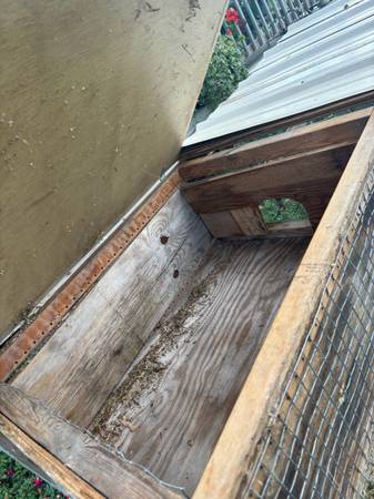 Quail hutch 1