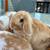 Bunny Rabbit 3 thumbnail