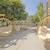 Newly Renovated Apartments, Study Room, Shuttle Van Service 6 thumbnail