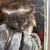 Kittens 1 thumbnail