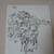 Black and White Hanging Basket of Ivy Picture signed Patterson 2 thumbnail