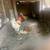 Chickens 1 thumbnail
