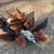 Chickens 1 thumbnail