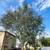 K RUSH TREE SERVICE AND LANDSCAPING LLC 5 thumbnail