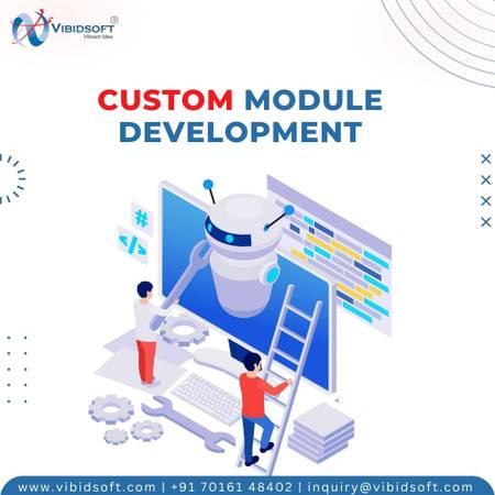 Custom Module Development Services – Tailored for Your Business 1