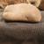 42- authentic native American artifacts 9 thumbnail