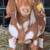 Disbudded Boer Wethers 10 thumbnail