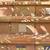 Large Beautiful Sun Filled Duplex UPPER 15 thumbnail