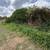 KAUI LAND MANAGEMENT 9 thumbnail