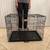 NEW IN BOX Pet Cage Dog Crate Steel Wire Cage Foldable Cage 36” 2 thumbnail
