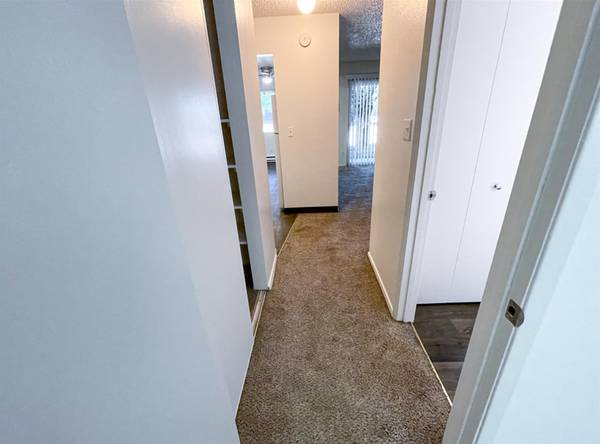 $1,200 / 1br - 1 FREE MONTH + $500 OFF! 1B with On-Site Laundry, Quick Freeway Access (Wilkes-East)63615726534145123