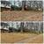 ✝️Divine Landscaping (Heavenly Perfection) Leaf Removal 3 thumbnail