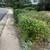 Lawn Mowing/Fall Clean Ups/Landscaping Projects 4 thumbnail