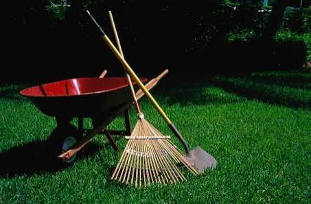 Trabajos de jardinería y servicios de mano de obra (Santa Cruz)