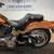2008 Harley Davidson Softail Custom FXSTC 105th Anniversary Edition 21 thumbnail