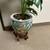 Artificial Houseplant Tree in Colorful Ceramic Vase w/ Stand 2 thumbnail
