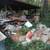 JUNK REMOVAL, DUMP RUNS SANTA CRUZ      www.ALLGOODSHAULING.com 4 thumbnail