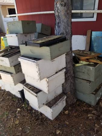 Bee boxes and frames 1