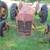 2 ford tractors 1 thumbnail