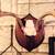 Deer Antlers Farmhouse Home decor 2 thumbnail