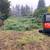 Brush cutting,clearing/mulching. Excavator. Fire prevention. 2 thumbnail
