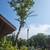 Dannys tree servirse &roofing 2 thumbnail