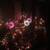16 Function, 150 Lights Christmas Globes Made To Order. 3 thumbnail