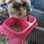 Rabbit 1 thumbnail