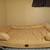 Dog bed 2 thumbnail