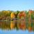 3 - 6 Month Nov 15 - April 17, 2027 Cozy Lakefront Cottage #2 Rental 16 thumbnail