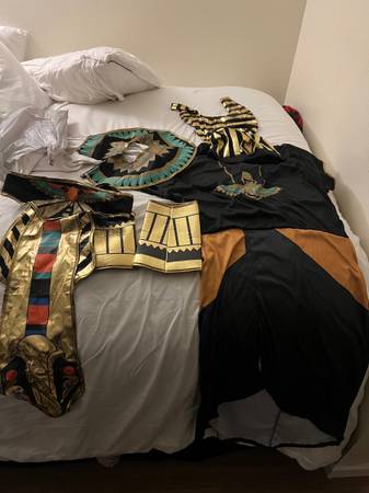 Egyptian pharaoh Halloween costume 1