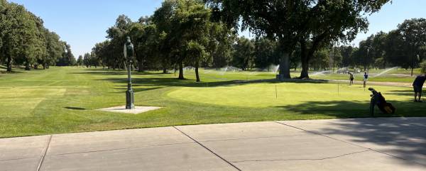 Line Cook & Dishwasher 1