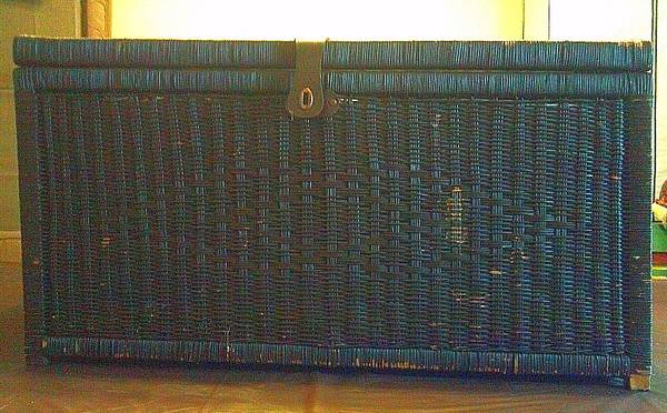 Brown, Wicker-Like Trunk 1