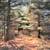 10 Wooded Acres Near Wisconsin Dells 19 thumbnail