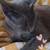 Meet Mavis 3 thumbnail