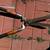 Hedge clippers 2 thumbnail