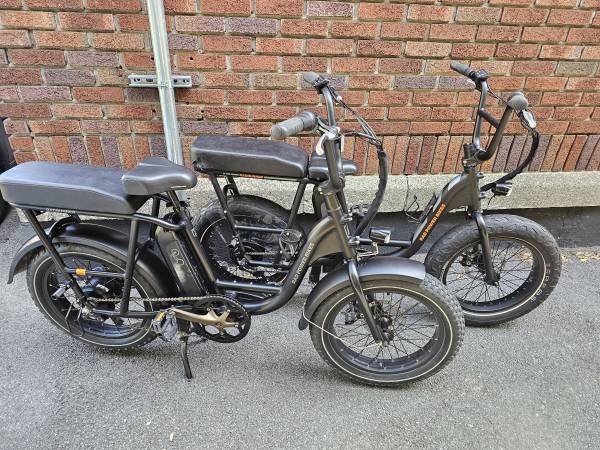 Rad Power Ebikes 1