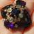 Gothic Natural Lolite Ring, one of a kind, Silver, 18K Gold Size 8.5 2 thumbnail