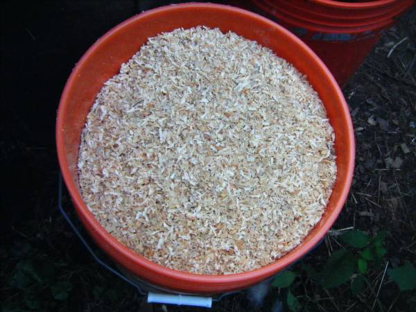 Pine Shavings for Baby Bunnies/Animals ~ Best Ever 1